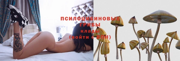 гашик Нягань