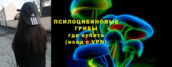 гашик Нягань