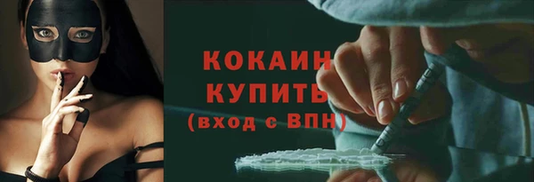 мет Няндома