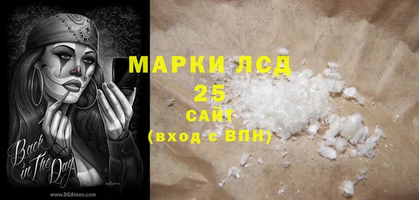 мет Няндома