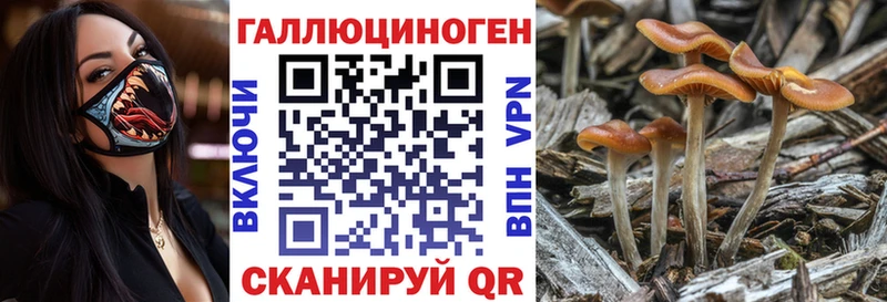 маркетплейс наркотические препараты  Судогда  Псилоцибиновые грибы Magic Shrooms 
